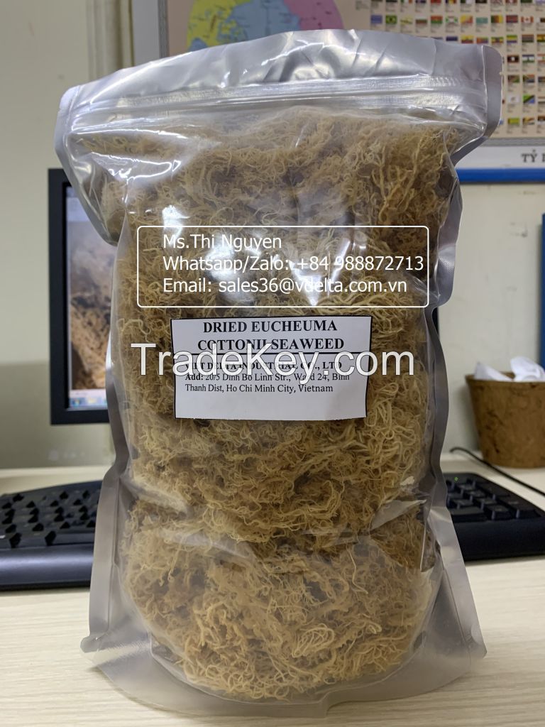 Dried Sea Moss No Salt from Vietnam/Ms.Thi Nguyen +84 988872713