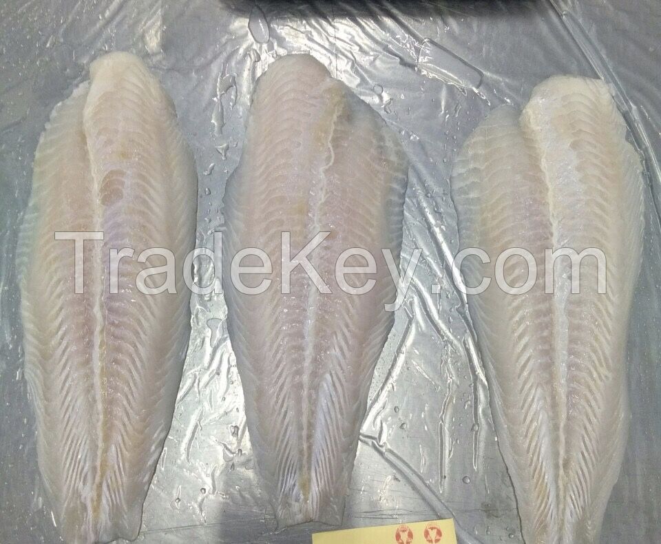 Frozen Pangasius Fillet