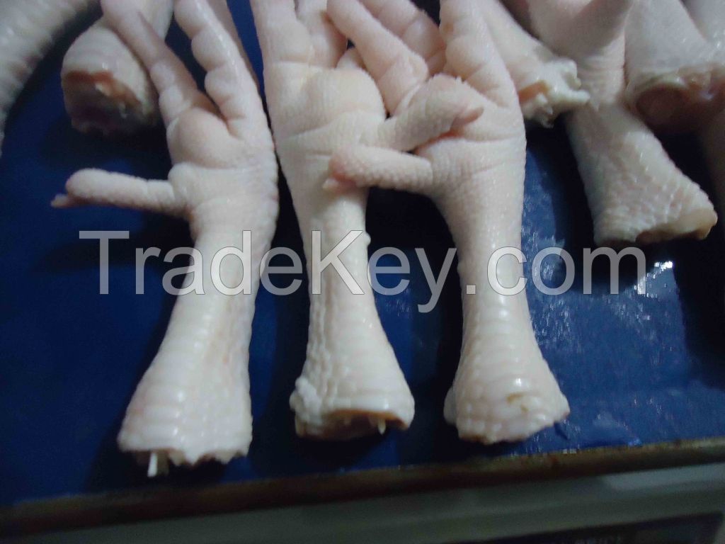 Frozen Halal Chicken Paws / Chicken Feet From Thailand For Sale In Bulk Premium Grade