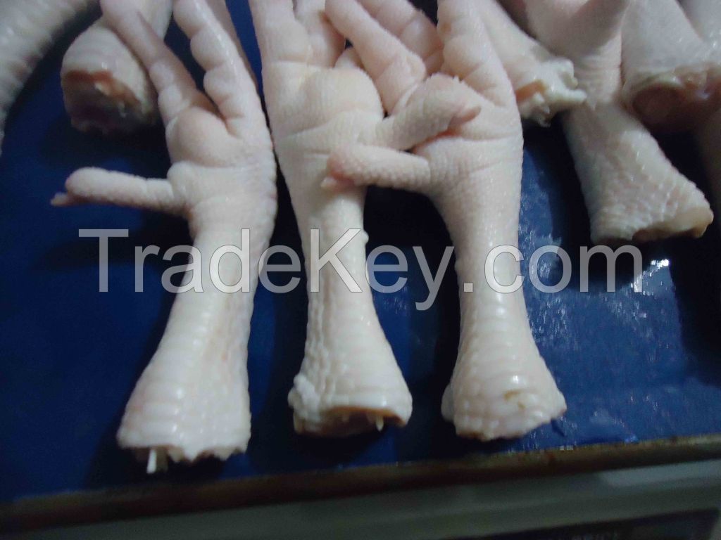 Frozen Processed Export Quality Chicken Feet - Chicken Feet For Haiphong Hong kong China
