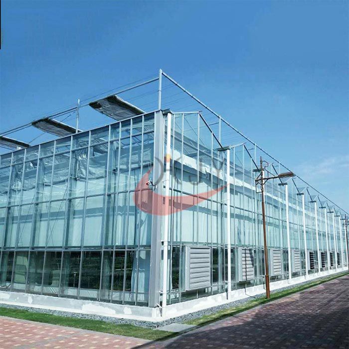 Commercial Agricultural Glass Greenhouse for Flower and Vegetables  Glass Greenhouse 