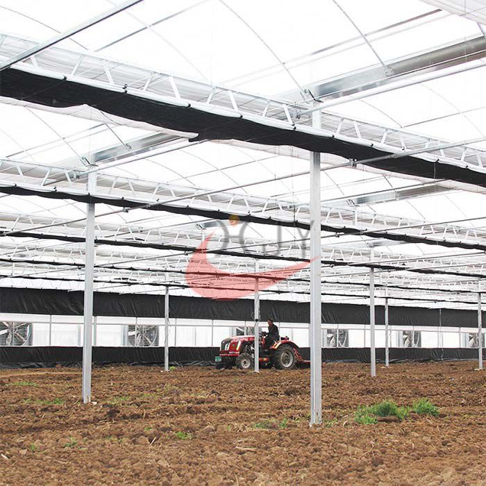 Agriculture Plastic Large Multi Span Greenhouse For Sale  Plastic Film Multi-span Greenhouses