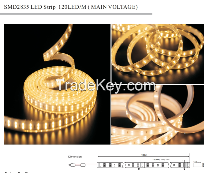 smd  led strip  SMD    COB STRIP IP20 IP54 IP65