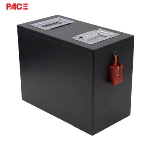 64V 60ah Custom-Made Lithium Battery Pack with Smart BMS for Agv, AMR, Forklift