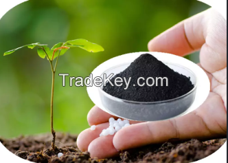 Soluble Seaweed Extract Powder