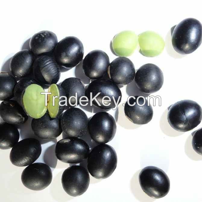 BLACK BEAN WITH GREEN KERNEL