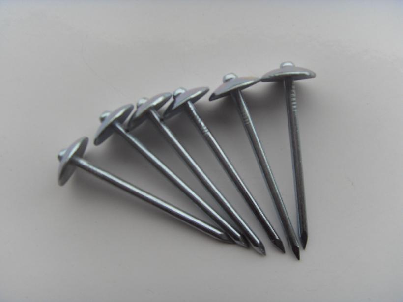 umbrella roofing nails