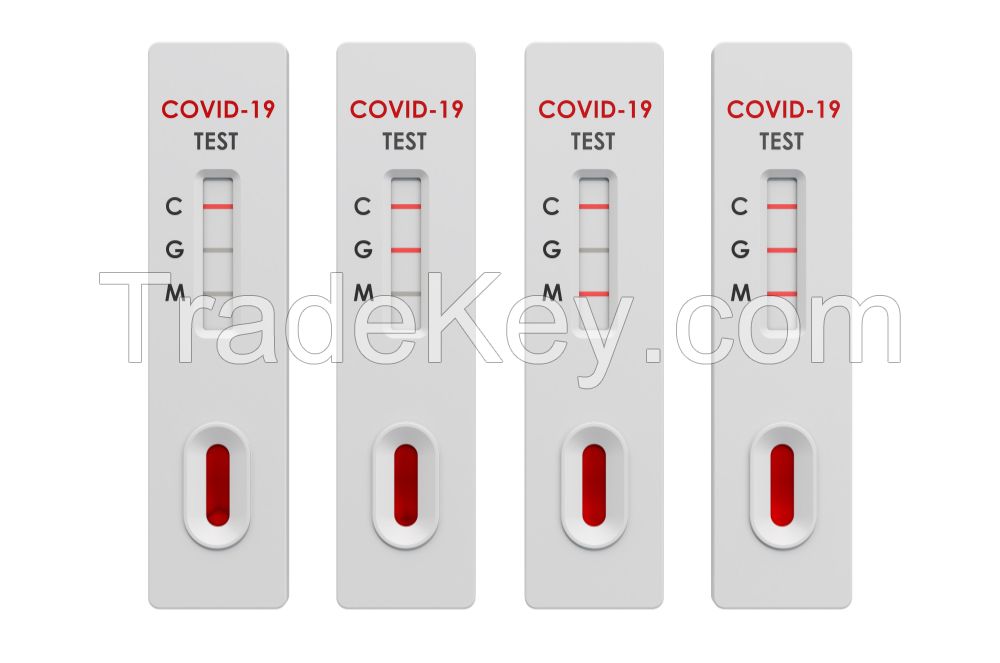 Coronavirus Test SARS-CoV2 IgG/IgM