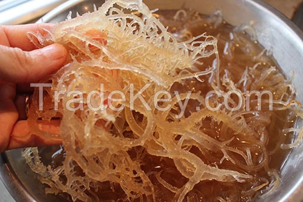 Sea moss