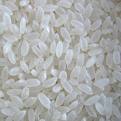 Japonica Rice | Rice Supplier| Rice Exporter | Rice Manufacturer | Rice Trader | Rice Buyer | Rice Importers | Import Rice