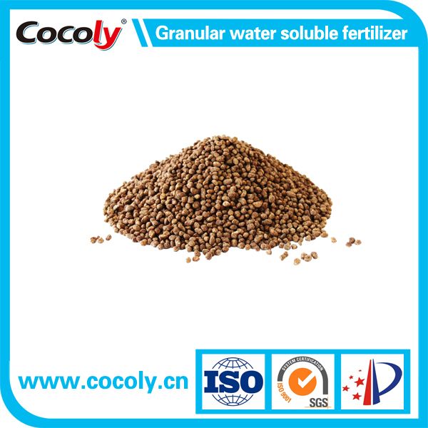 Best Fertilizer for Vegetable Garden Cocoly Granular Water Soluble Fertilizer