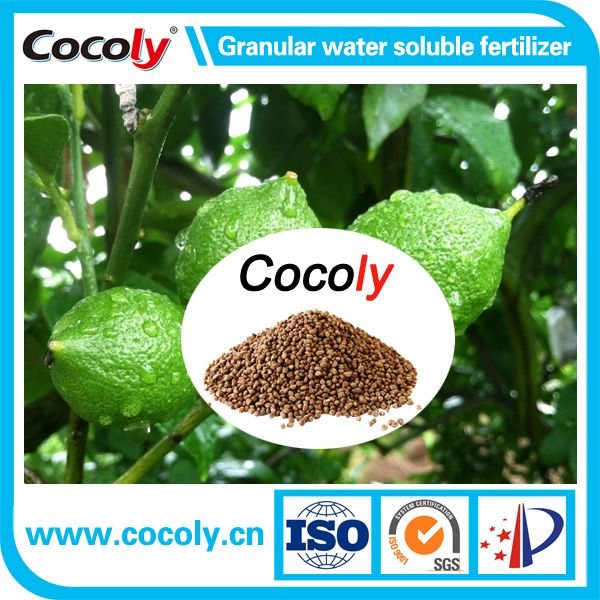Top Sale Granular Water Soluble Fertilizer Cocoly