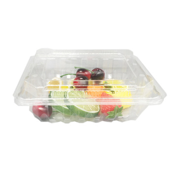 Vacuum Formed Blister Packaging Small Clear Rectangular Plastic Clamshell Box for Fruit Storage