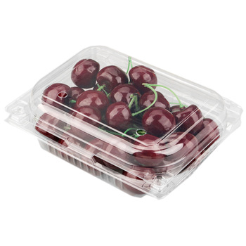 Vacuum Formed Blister Packaging Small Clear Rectangular Plastic Clamshell Box for Fruit Storage