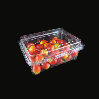 Vacuum Formed Blister Packaging Small Clear Rectangular Plastic Clamshell Box for Fruit Storage