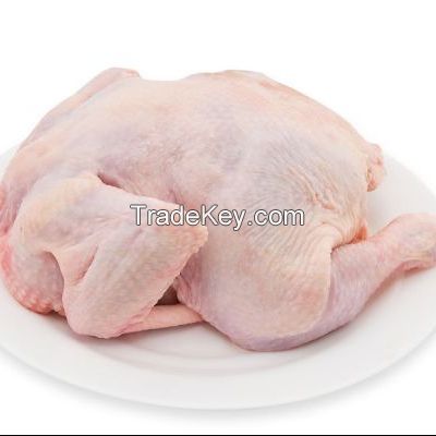 Halal frozen whole chicken 
