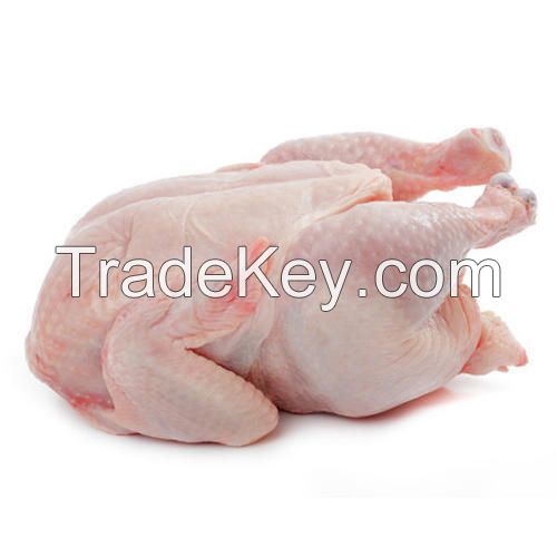 Halal frozen whole chicken 