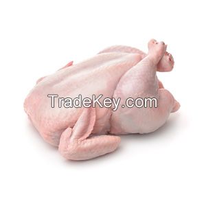 Halal frozen whole chicken 