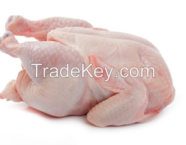 Halal frozen whole chicken 