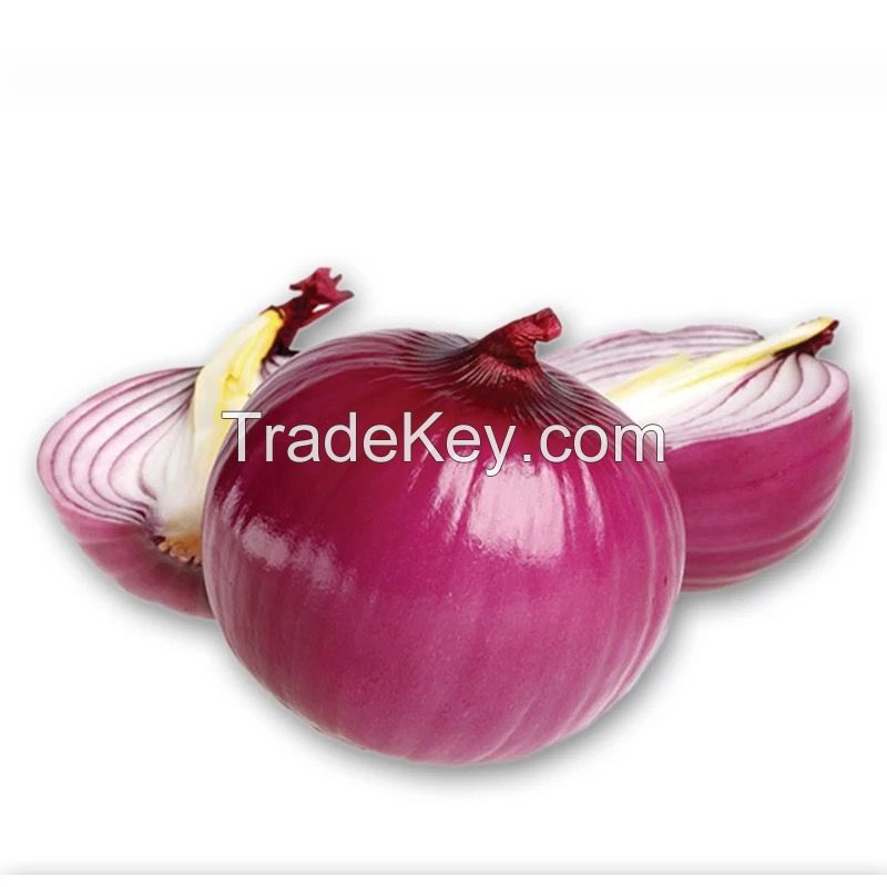 High Quality Fresh Onion