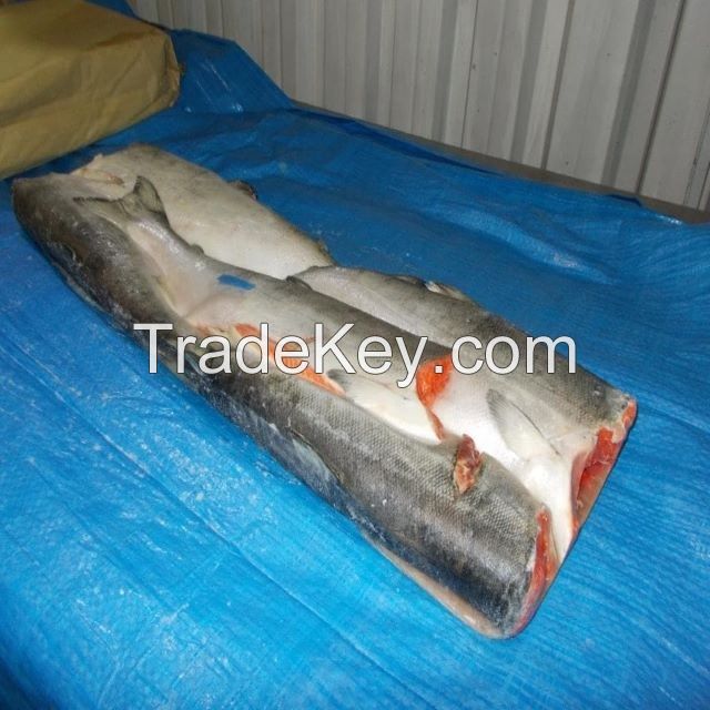 Frozen Salmon Fish