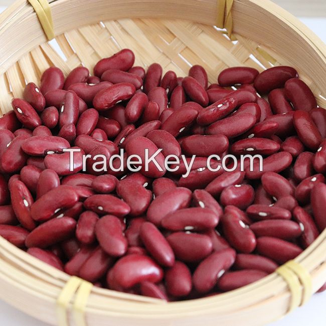 High Quality British Dark Red Kidney Bean