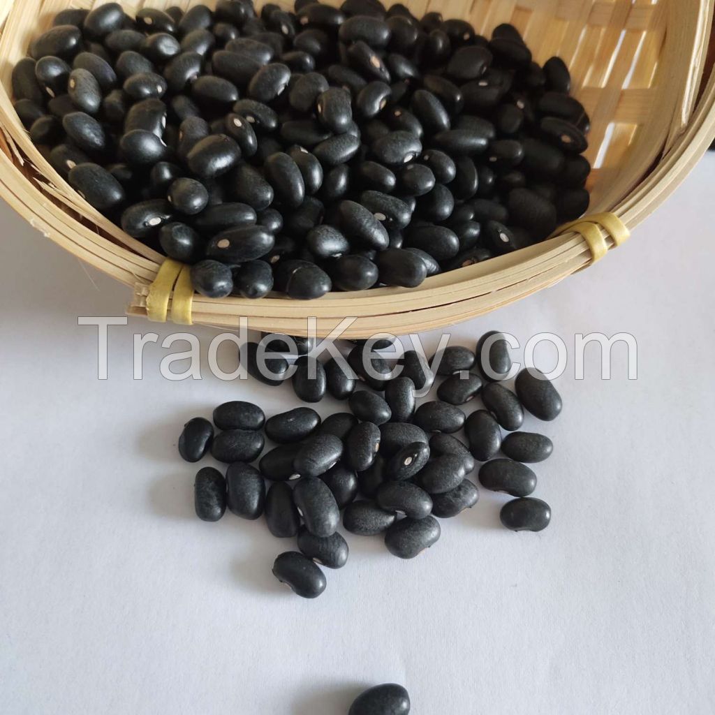 Highly processed Black Kidney Beans