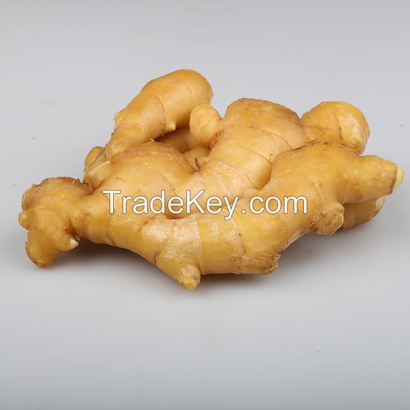 Top Grade Fresh And Air Ginger