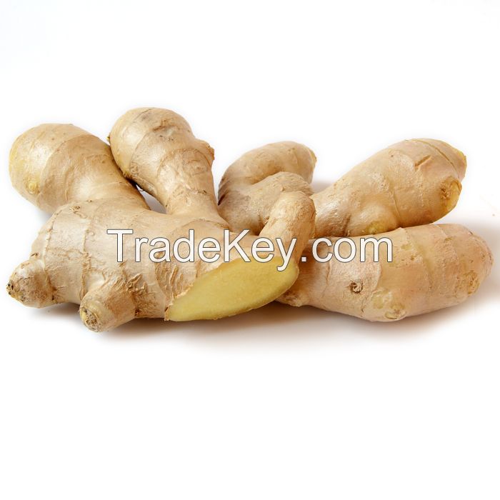 Quality Fresh And Air Dried Ginger
