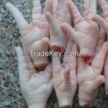 Halal frozen chicken paws... Grade A. For Sale