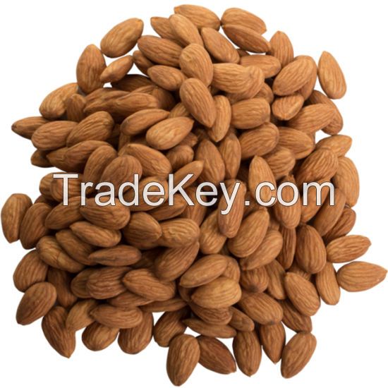 Almond Nuts