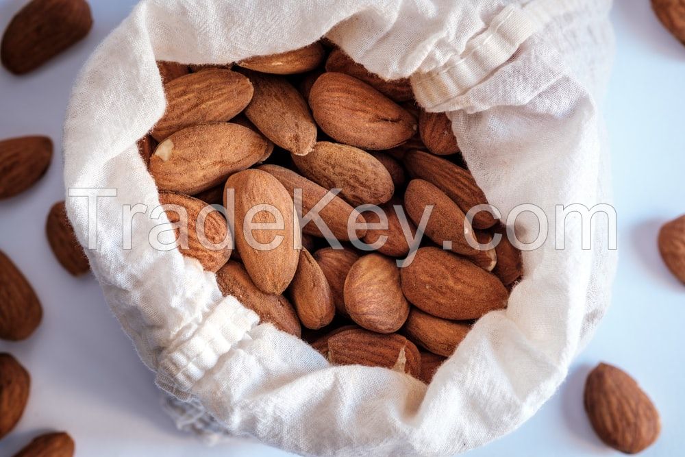 Fresh Almond Nuts