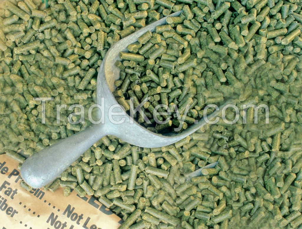 Alfalfa pellets