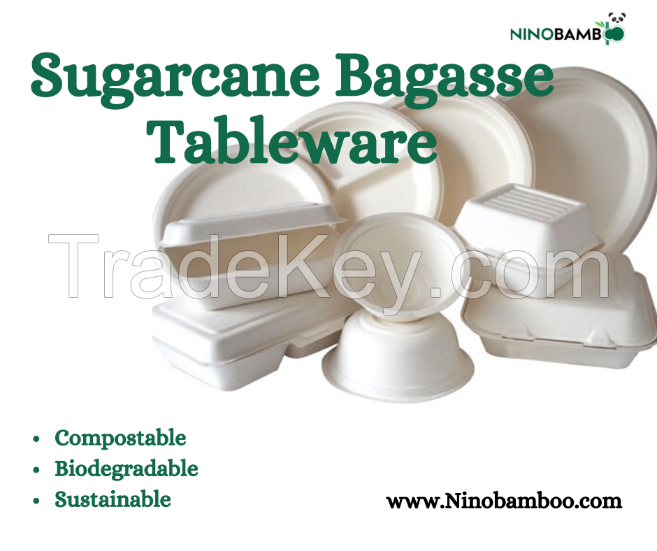 Eco Friendly Disposable Tableware