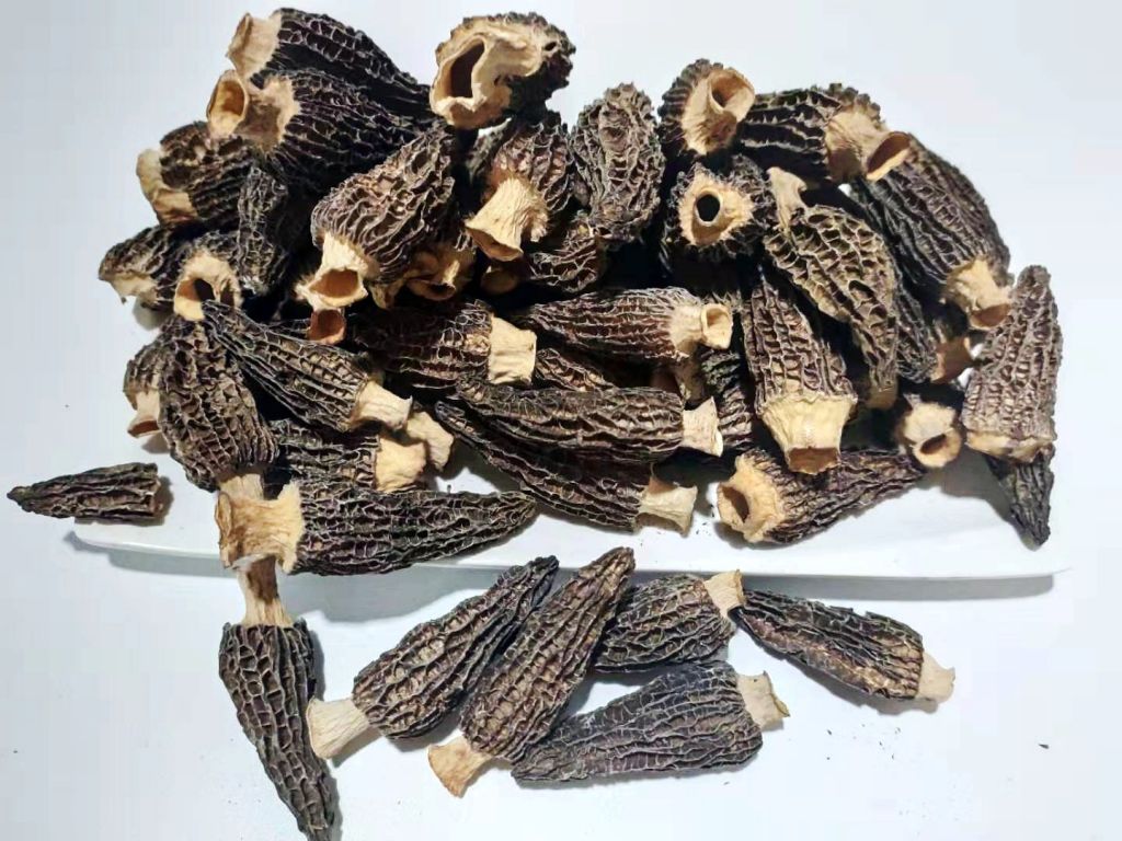 Dried Morel Mushroom, Morchella Mushroom, Morel