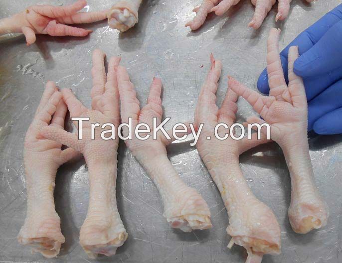 Halal Whole Frozen Chicken Breast/Legs/Parts 
