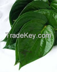 Belet Leaves