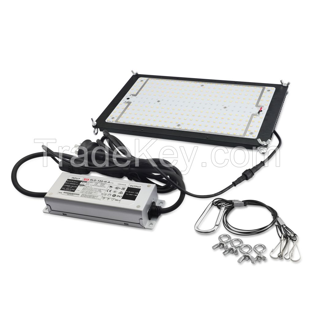 Specially designed led quantum board for cannabis growing