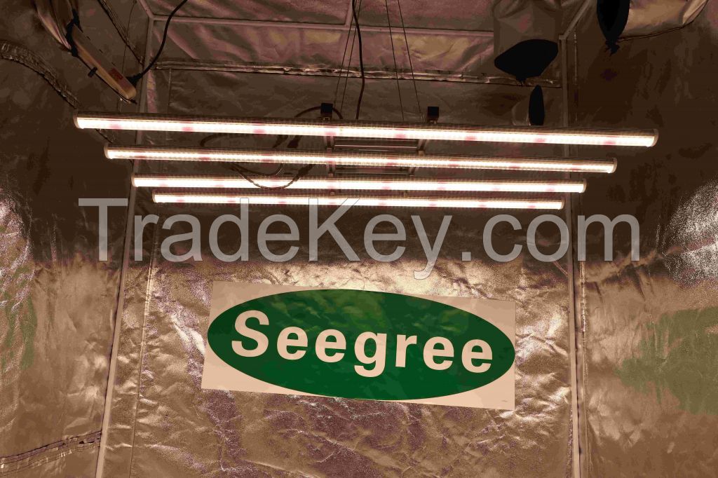 New design Samsung chips Spider fluence Full spectrum 250W LED Grow Bar for Medical Seeding plant