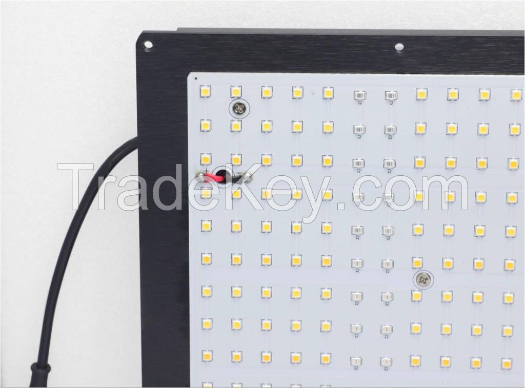 Most popular 240W Full spectrum LED Quantum Board with OSRAM Chips for Grow tent