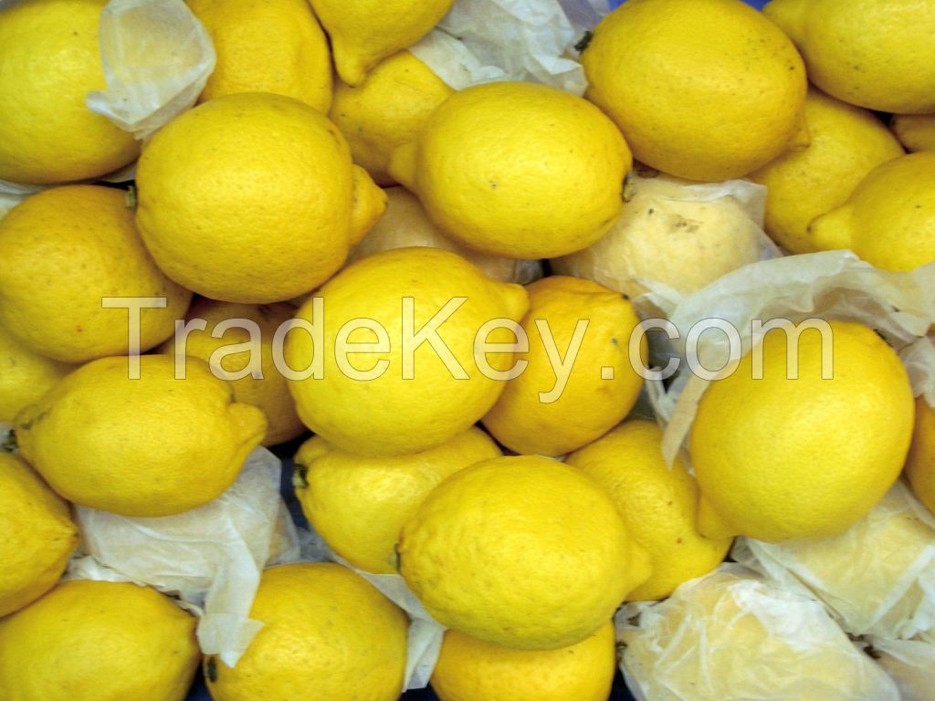 citrus 