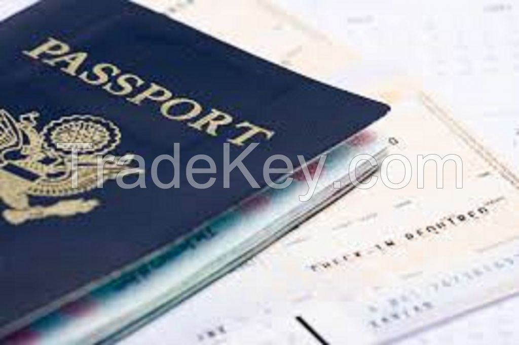 Passport and Visa Assistance Services