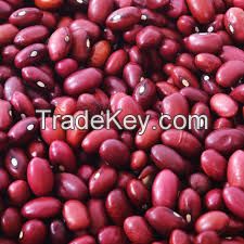 Certified Organic Non-GMO DRKB Rich Protein Dark Red Kidney Beans Prices
