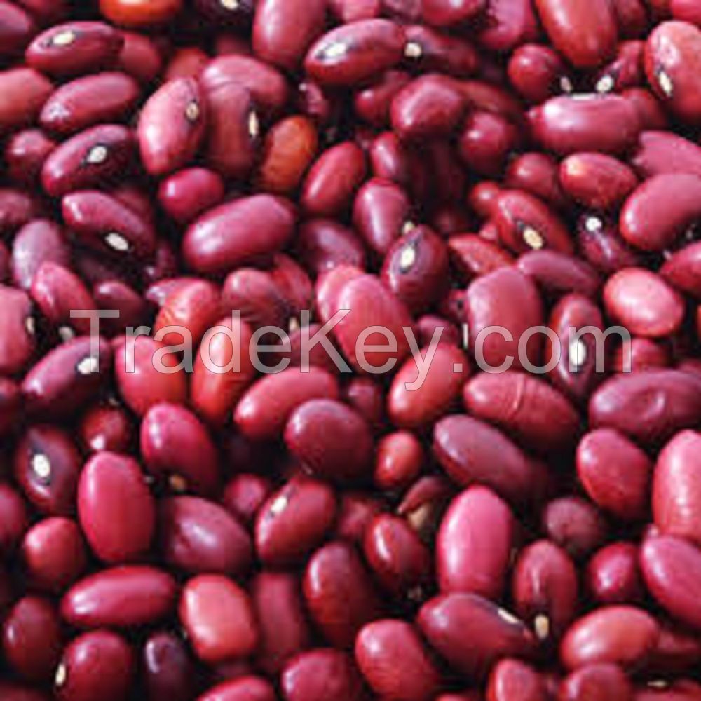 High Quality Bulk Dried Red Kidney Beans for Sale