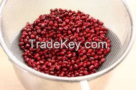 Dark Red Kidney Beans Long Shape Kidney Beans 
