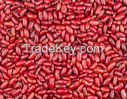 Red Kidney Beans, Light Speckled kidney bean, Frozen beans