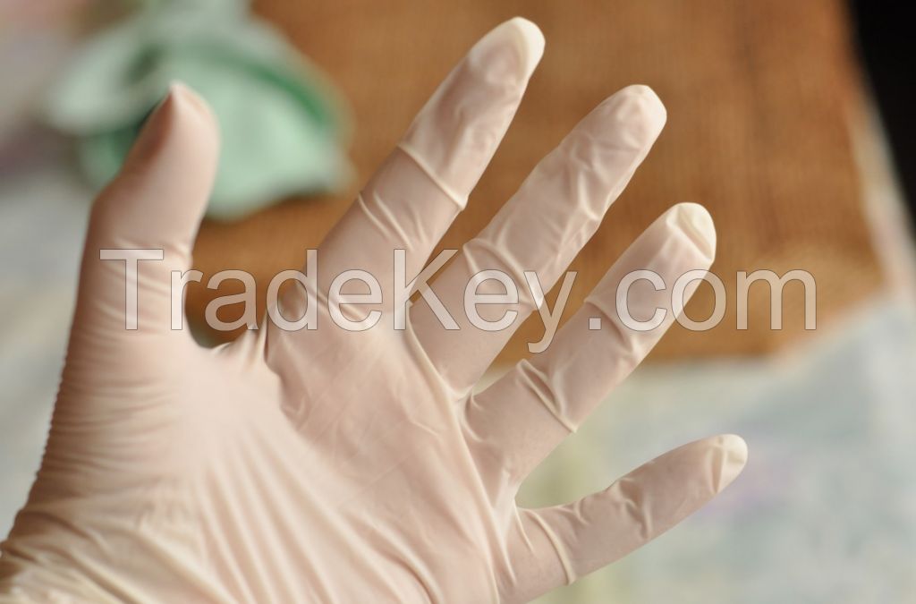 Food Grade Powder free Disposable Vinyl PVC Gloves