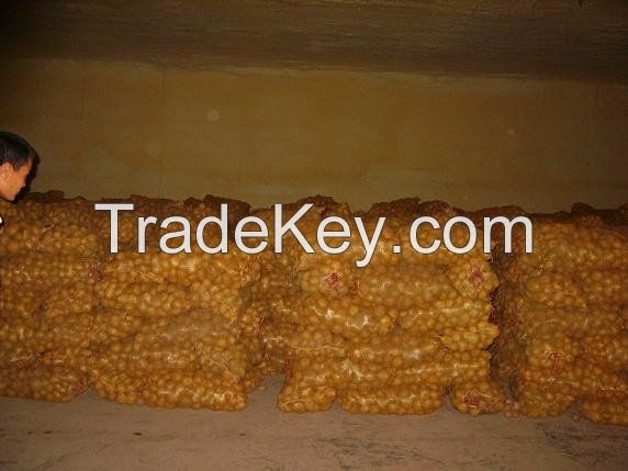 Fresh Potatoes Premium Quality From Cameroon for Sale