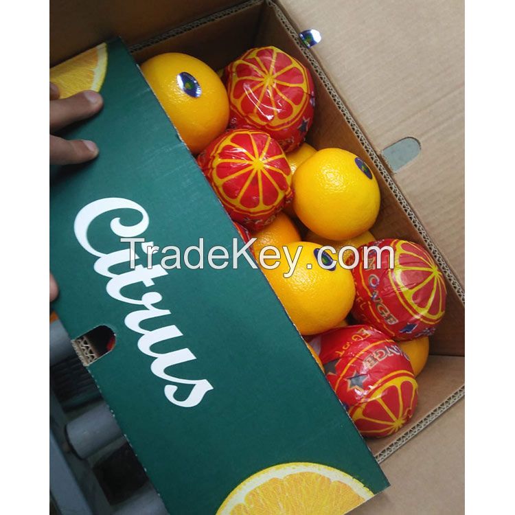 Quality Fresh Lemons / Fresh Grapes / Fresh Orange Grade A 