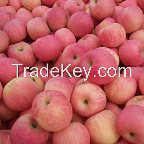 2021 new fresh fruits red Fuji apples